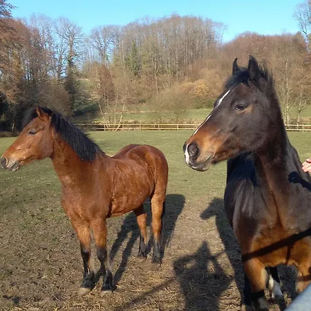 Au Coeur De La Nature Le Grand-Lucé