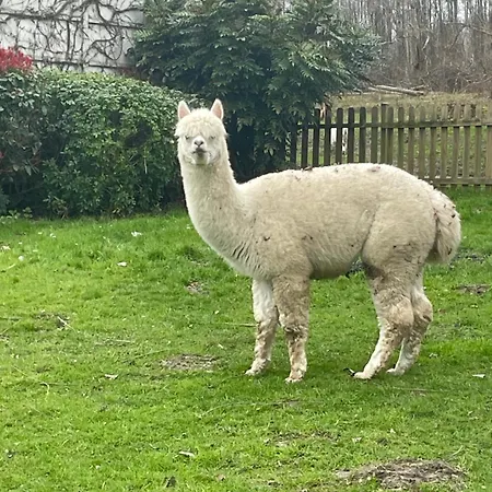 Au Coeur De La Nature Vendégház Le Grand-Lucé