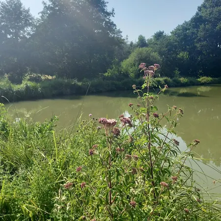 Au Coeur De La Nature Vendégház
