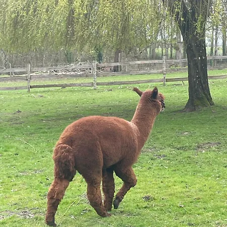 Au Coeur De La Nature Le Grand-Lucé