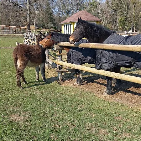 Au Coeur De La Nature Pensjonat 3*
