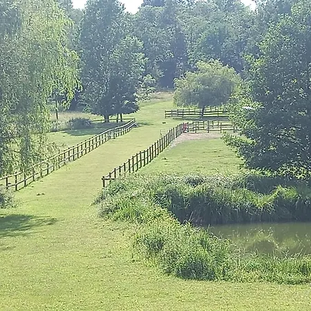 Au Coeur De La Nature 3* Le Grand-Lucé