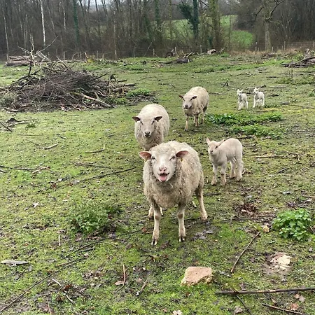 Au Coeur De La Nature Vendégház Le Grand-Lucé