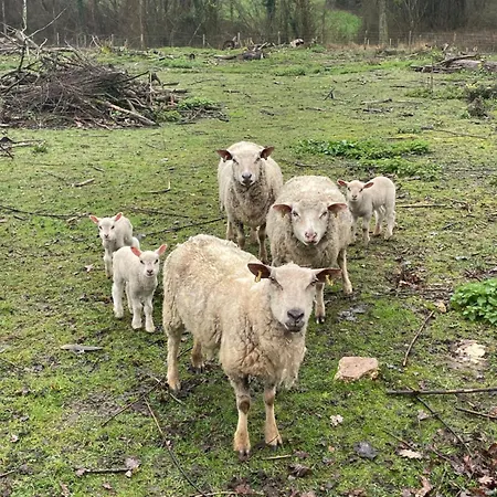Au Coeur De La Nature