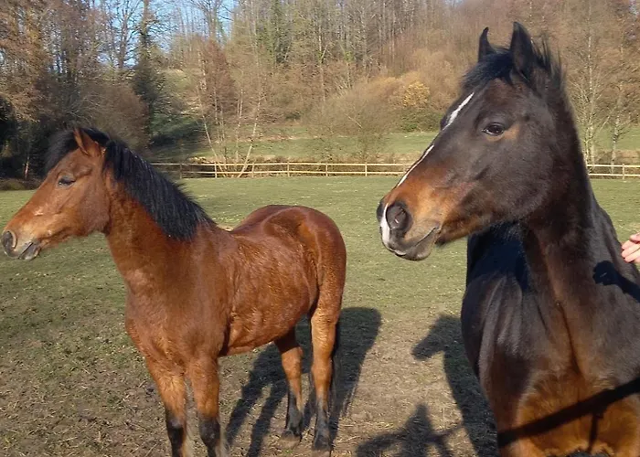 Au Coeur De La Nature Le Grand-Luce