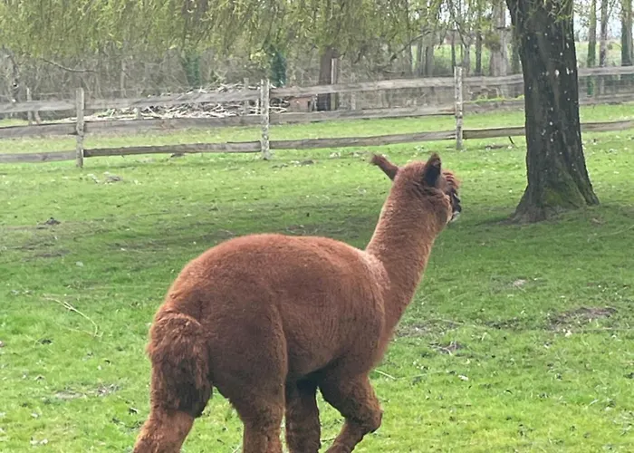 Au Coeur De La Nature Le Grand-Luce