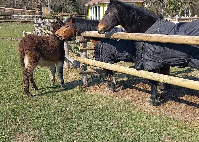 Au Coeur De La Nature Гостевой дом 3*