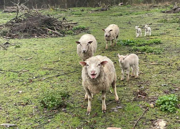 Au Coeur De La Nature Гостевой дом Le Grand-Luce