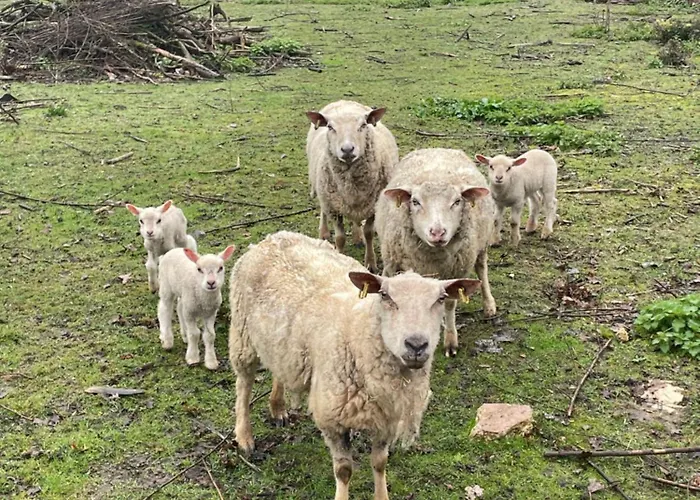Au Coeur De La Nature